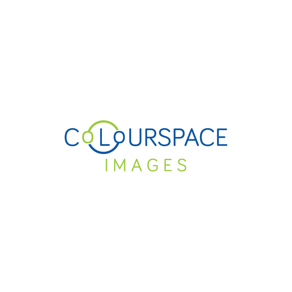 Logo Design by Just Pixels for this project | Design #23852008