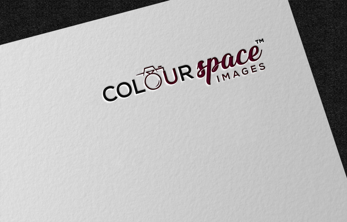 Logo Design by Pen Tool for this project | Design #23852265
