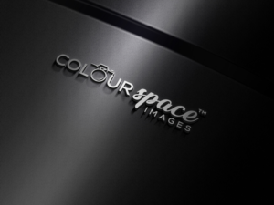 Logo Design by Pen Tool for this project | Design: #23852266