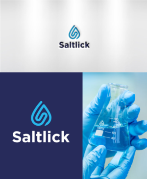 Saltlick | Logo-Design von Aidenjar