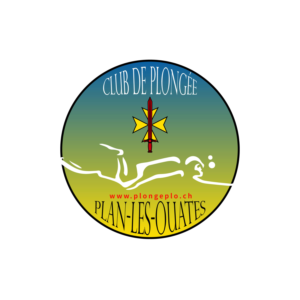 Diseño de Logo por Muhammad 130 para este proyecto | Diseño #23917687