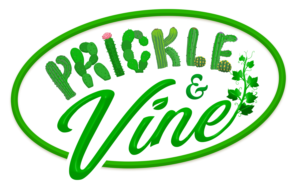 Logo Design by hektorsty