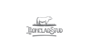 Diseño de Logo por trufya para este proyecto | Diseño: #23936535