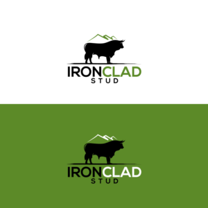 Ironclad Stud | Logo Design by Graphic Bricks