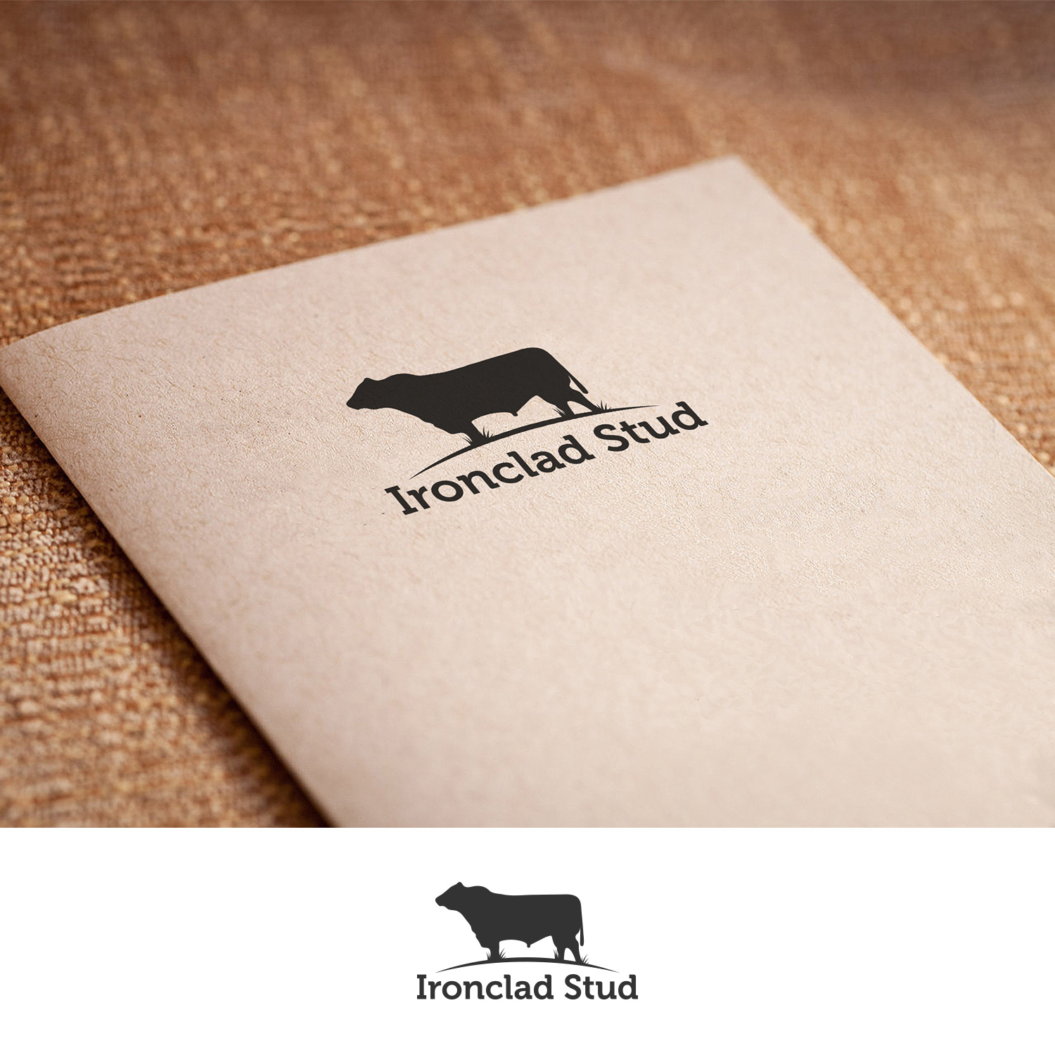 Logo-Design von DesignDUO für dieses Projekt | Design #23909654