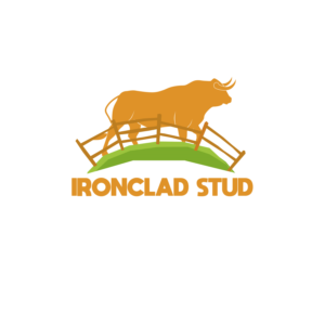 Diseño de Logo por vigie para este proyecto | Diseño #23888419