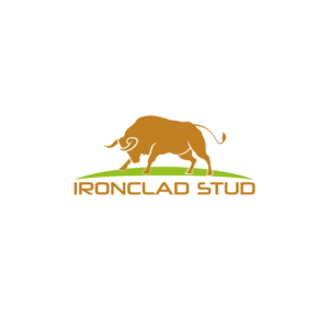 Diseño de Logo por vigie para este proyecto | Diseño: #23888427