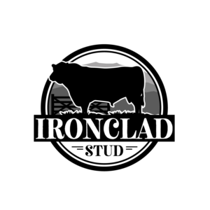 Diseño de Logo por geni para este proyecto | Diseño #23920034