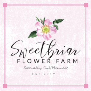 Business Card Design by Saya