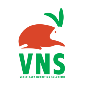 Logo Design by Dillanisa