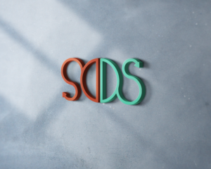Logo Design by paoleta_y