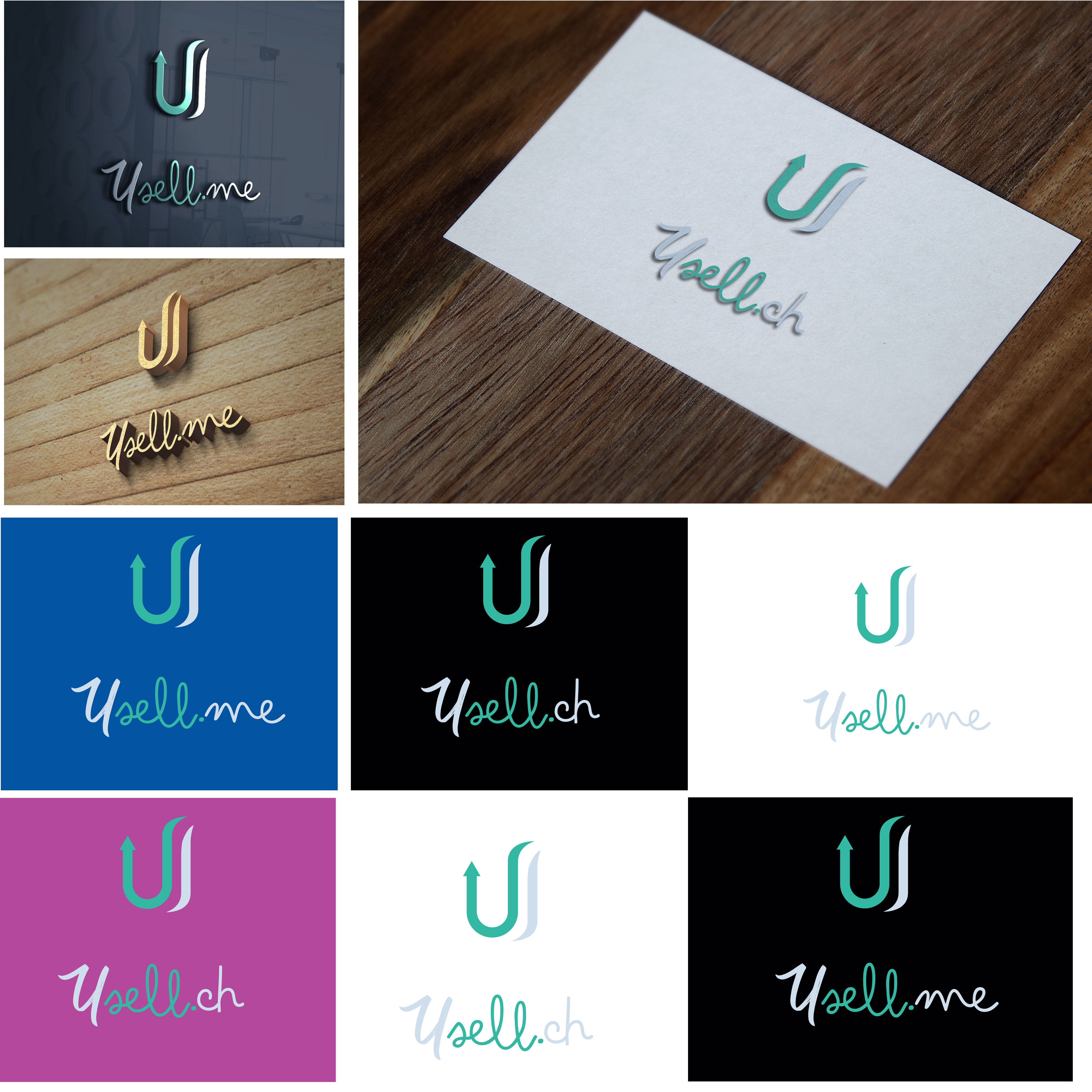 Logo Design by Expert Designer for this project | Design #24103147