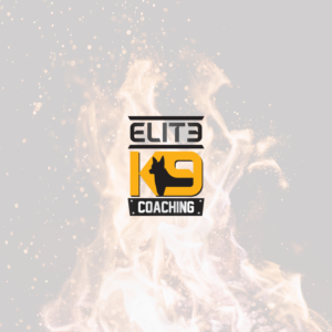Logo Design by Filo F