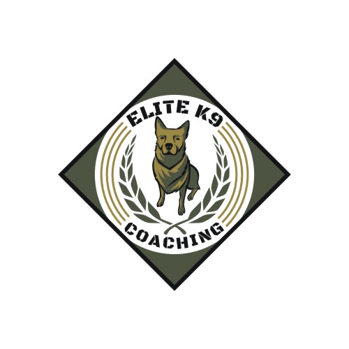 Logo Design by iamrady for Quest Solutions Australia Pty Ltd | Design #23965687