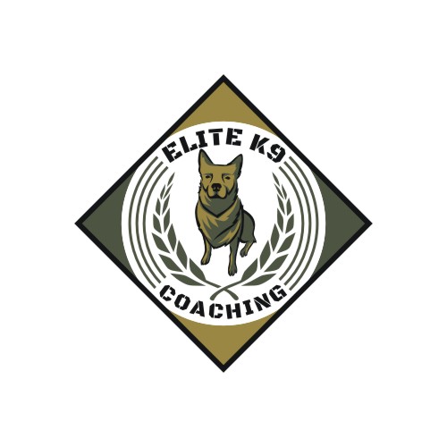 Logo Design by iamrady for Quest Solutions Australia Pty Ltd | Design #23965716