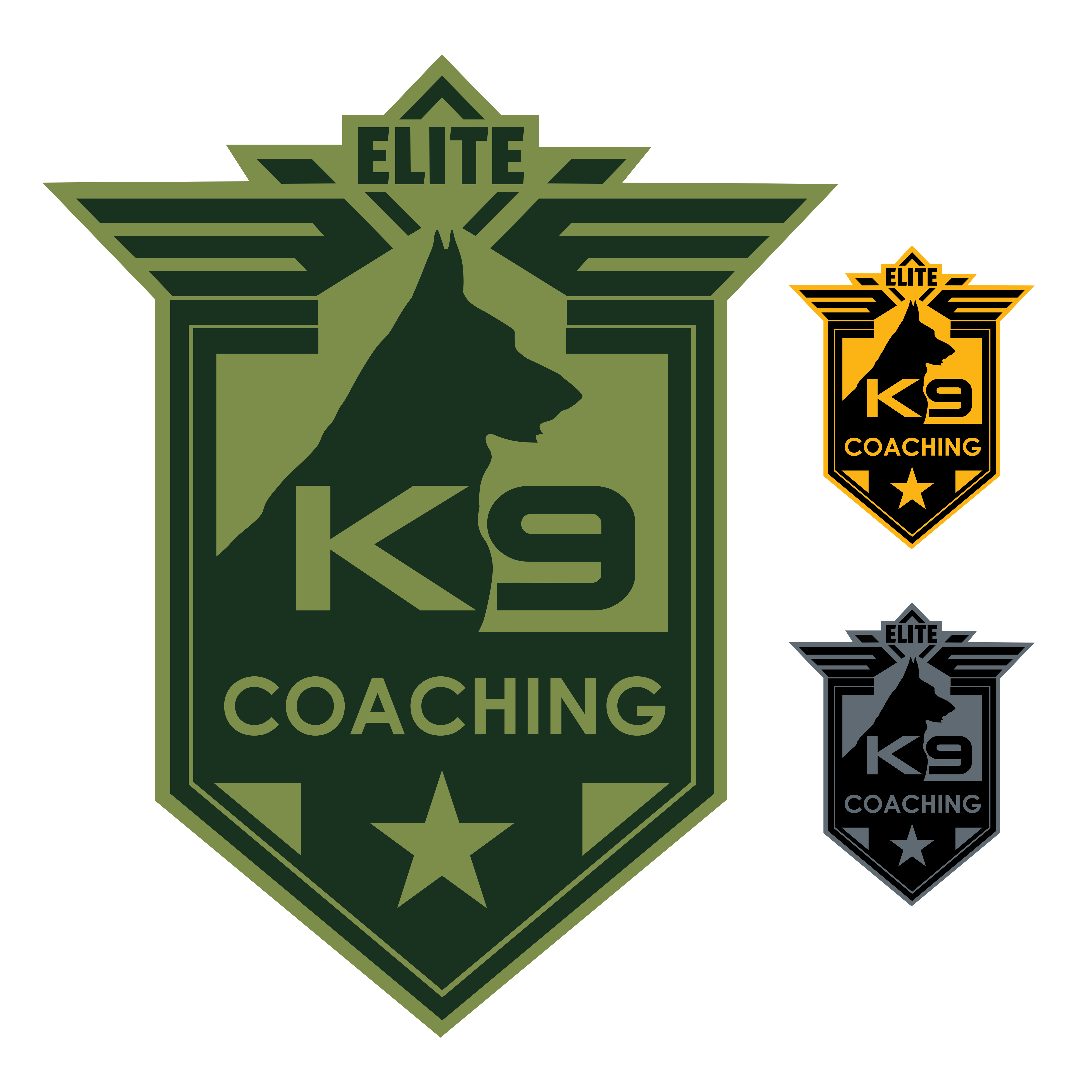 Diseño de Logo por Mark Clint para Quest Solutions Australia Pty Ltd | Diseño #23904761