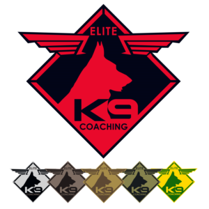 Logo Design by Mark Clint for Quest Solutions Australia Pty Ltd | Design: #23940691