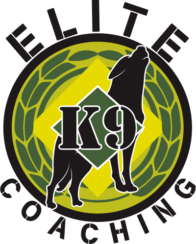 Logo Design by Feni:) for Quest Solutions Australia Pty Ltd | Design #23986959