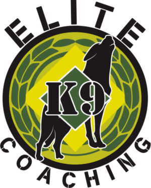 Logo Design by Feni:) for Quest Solutions Australia Pty Ltd | Design: #23986959