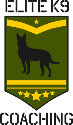 Logo Design by gabriele.arcari for Quest Solutions Australia Pty Ltd | Design: #23976238