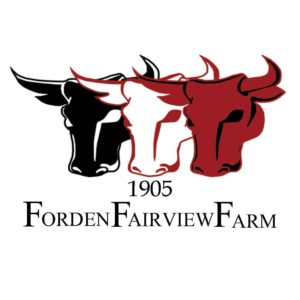 Logo Design by HisaTsunA