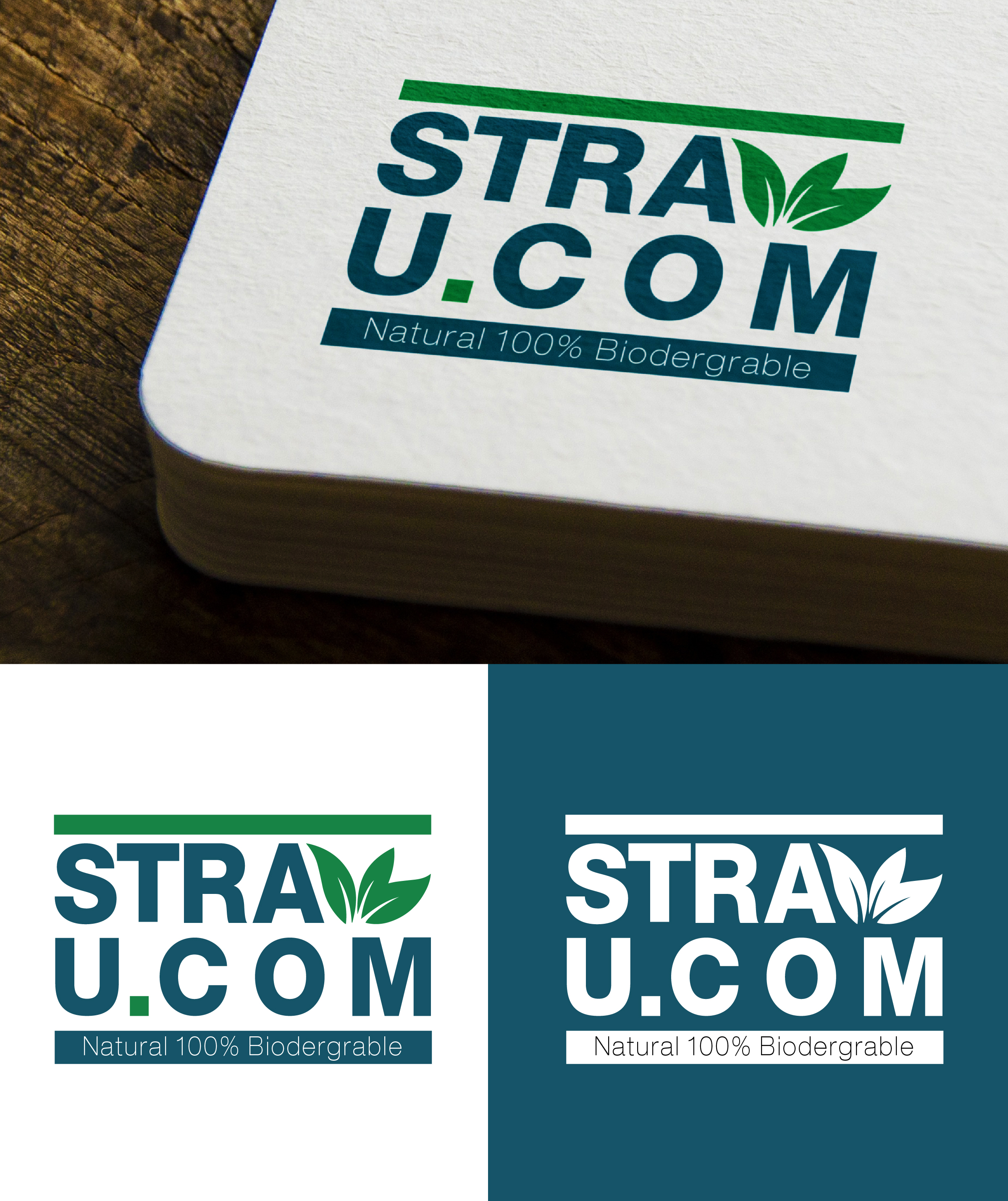 Logo Design by LamDinh for this project | Design #24144902