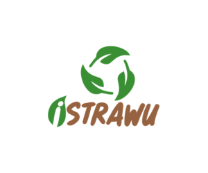Logo Design by ravznoot.digital
