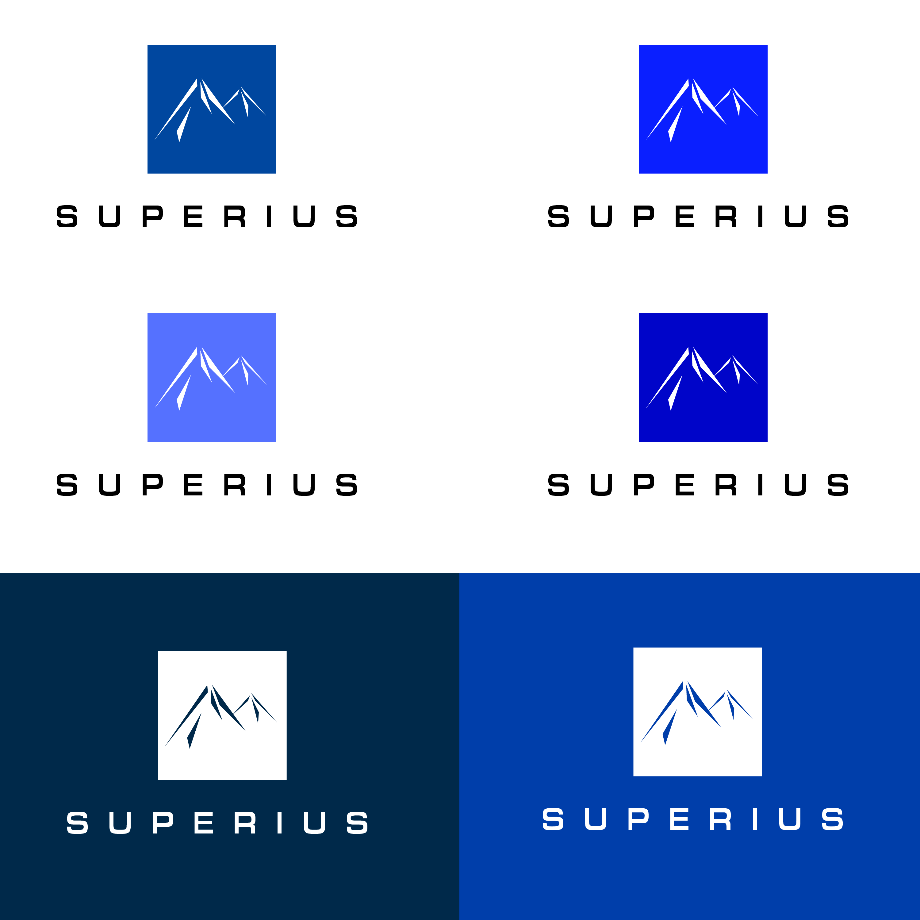 Diseño de Logo por Decimus Designs para este proyecto | Diseño #23931036