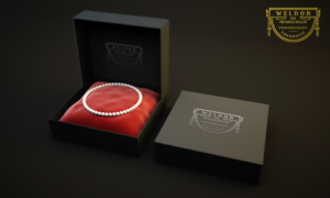 Logo Design by dorna 2