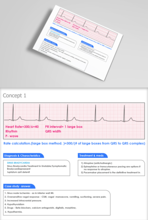 Graphic Design by Krypton Designer for this project | Design: #23961977