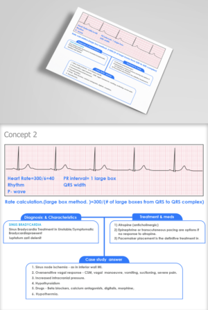 Graphic Design by Krypton Designer for this project | Design: #23961978