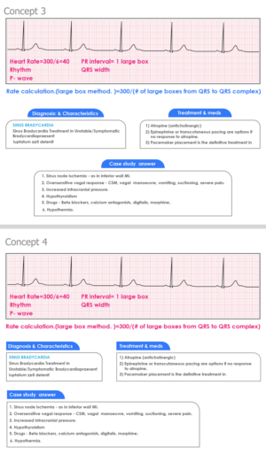 Graphic Design by Krypton Designer for this project | Design: #23961979