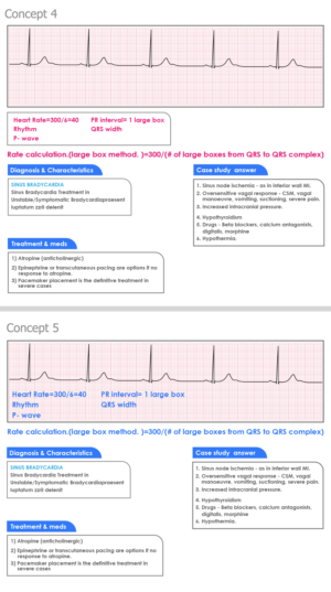 Graphic Design by Krypton Designer for this project | Design: #23961980