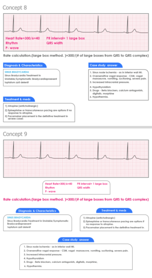 Graphic Design by Krypton Designer for this project | Design: #23962009