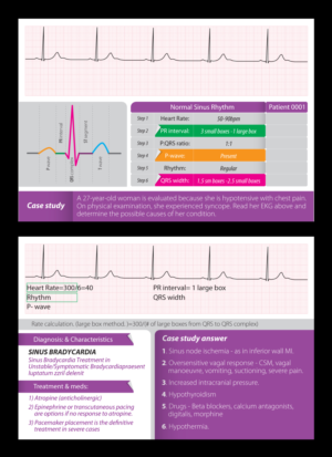 Graphic Design by project 5 for this project | Design: #23966264