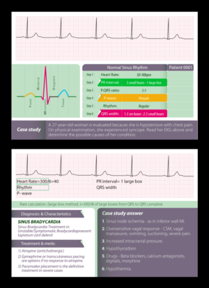Graphic Design by project 5 for this project | Design: #23966274