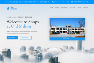 I am open. Anything that attracts new IT tech tenants to lease up shopping center/ office space | Diseño Web por Cynor Designs