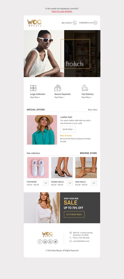 Email Marketing Design by Dabashes Adhikery for WOCBEAUTY | Design #23938480