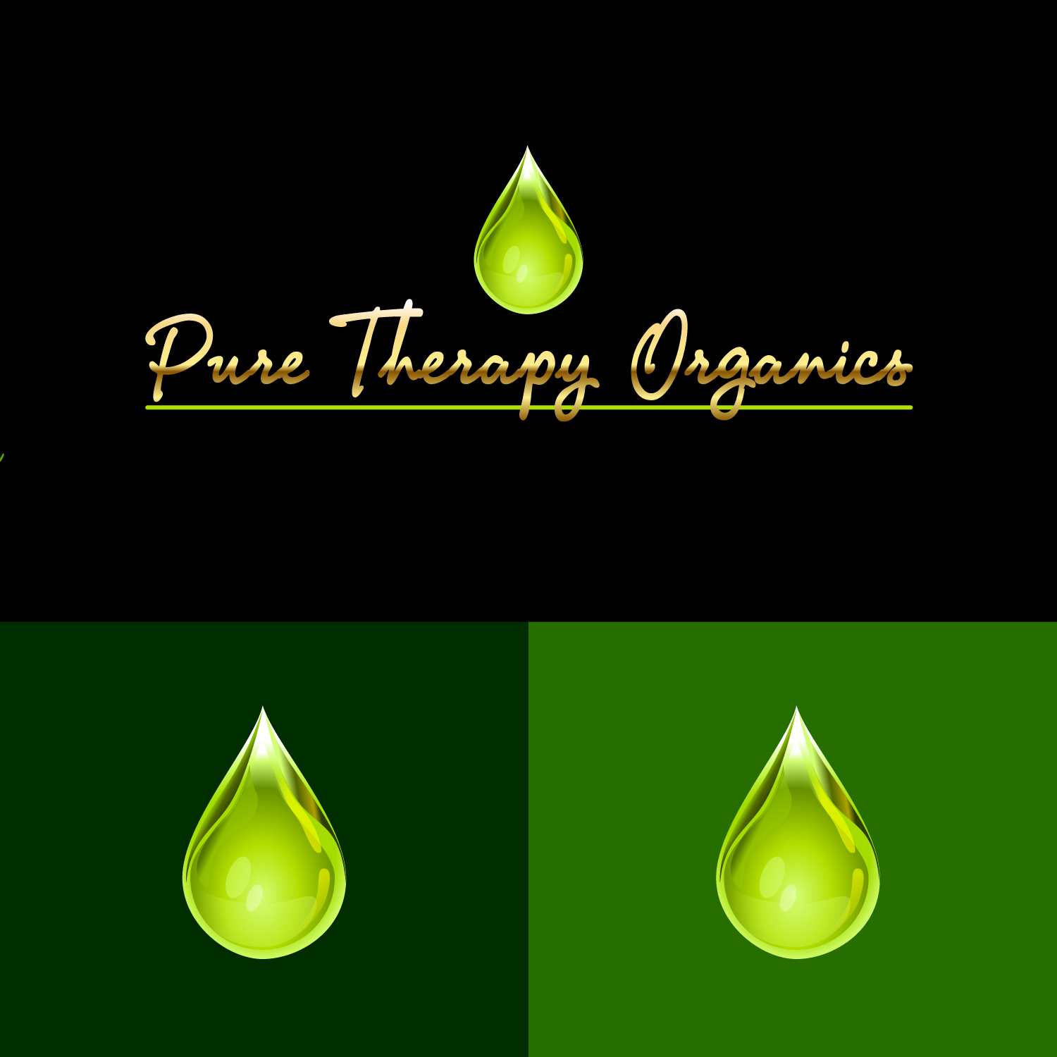 Logo Design by lightning.1972 for this project | Design #23930234