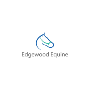 Logo Design by Mona 3