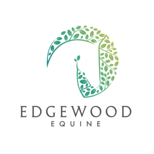 Logo Design by Martinha