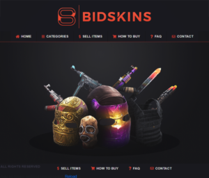 BidSkins | Logo Design by Awaiz786