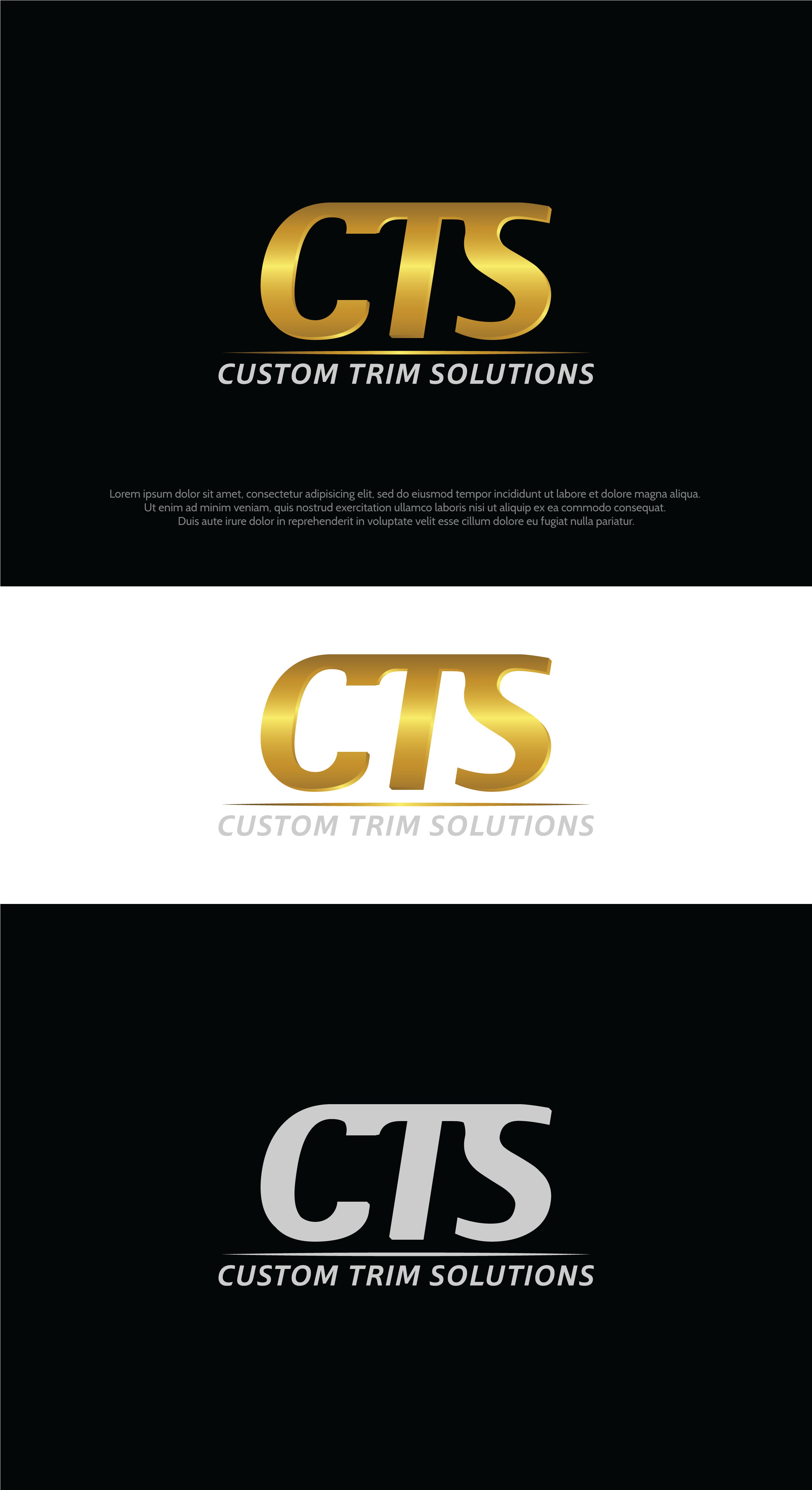 Logo Design by Ara Studio for Custom Trim Solutions  | Design #23935964
