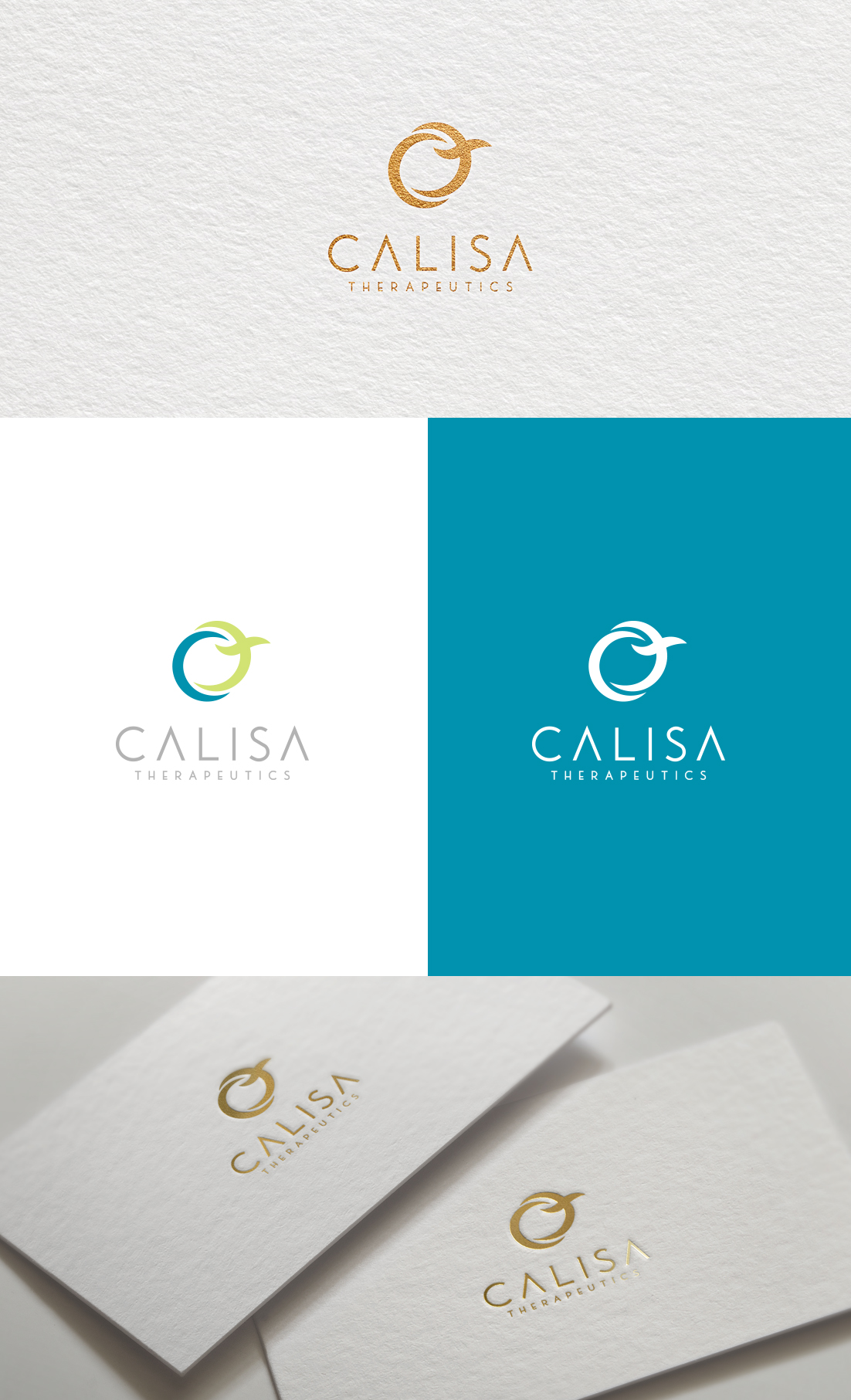 Logo Design by GLDesigns for Cogitare Consulting | Design #23935327