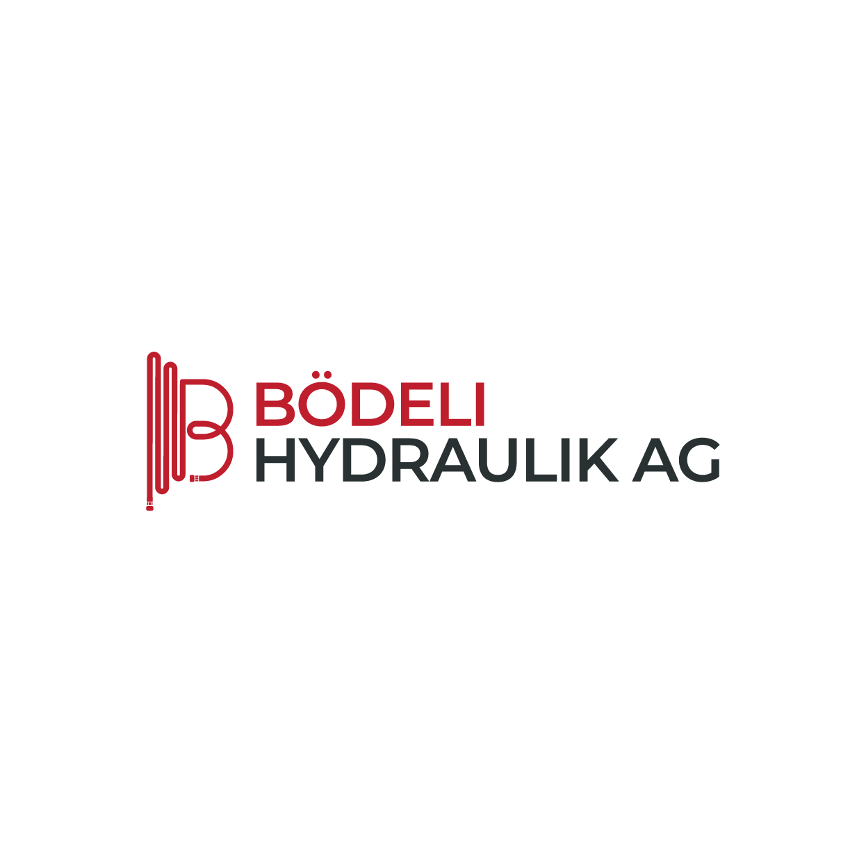 Diseño de Logo por rozT para Bödeli Hydraulik AG | Diseño #23990283