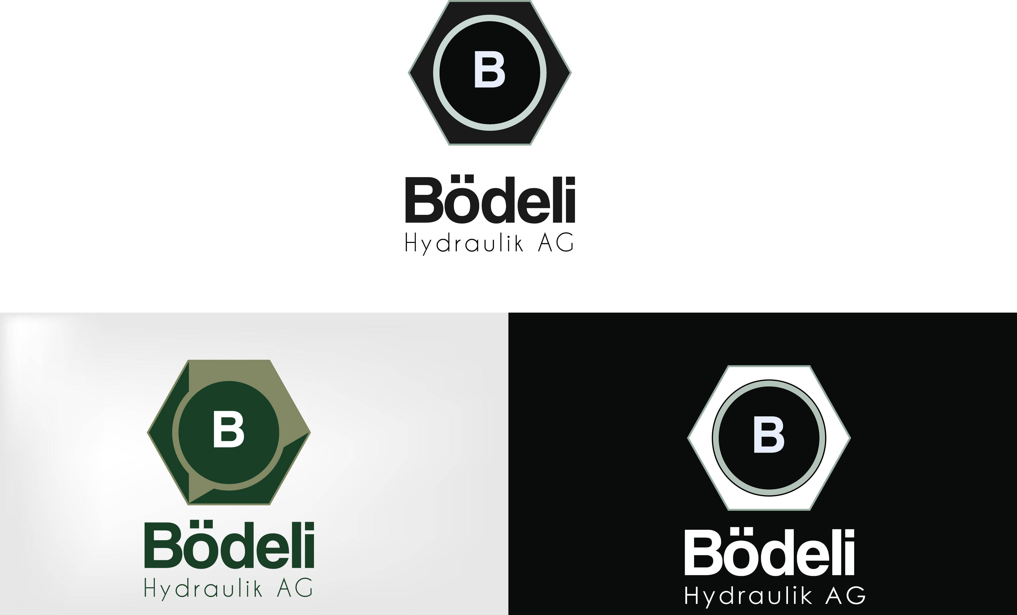 Logo Design by gooddesigner for Bödeli Hydraulik AG | Design #23990174