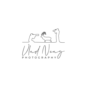Logo Design by mamen82 for this project | Design #23951537