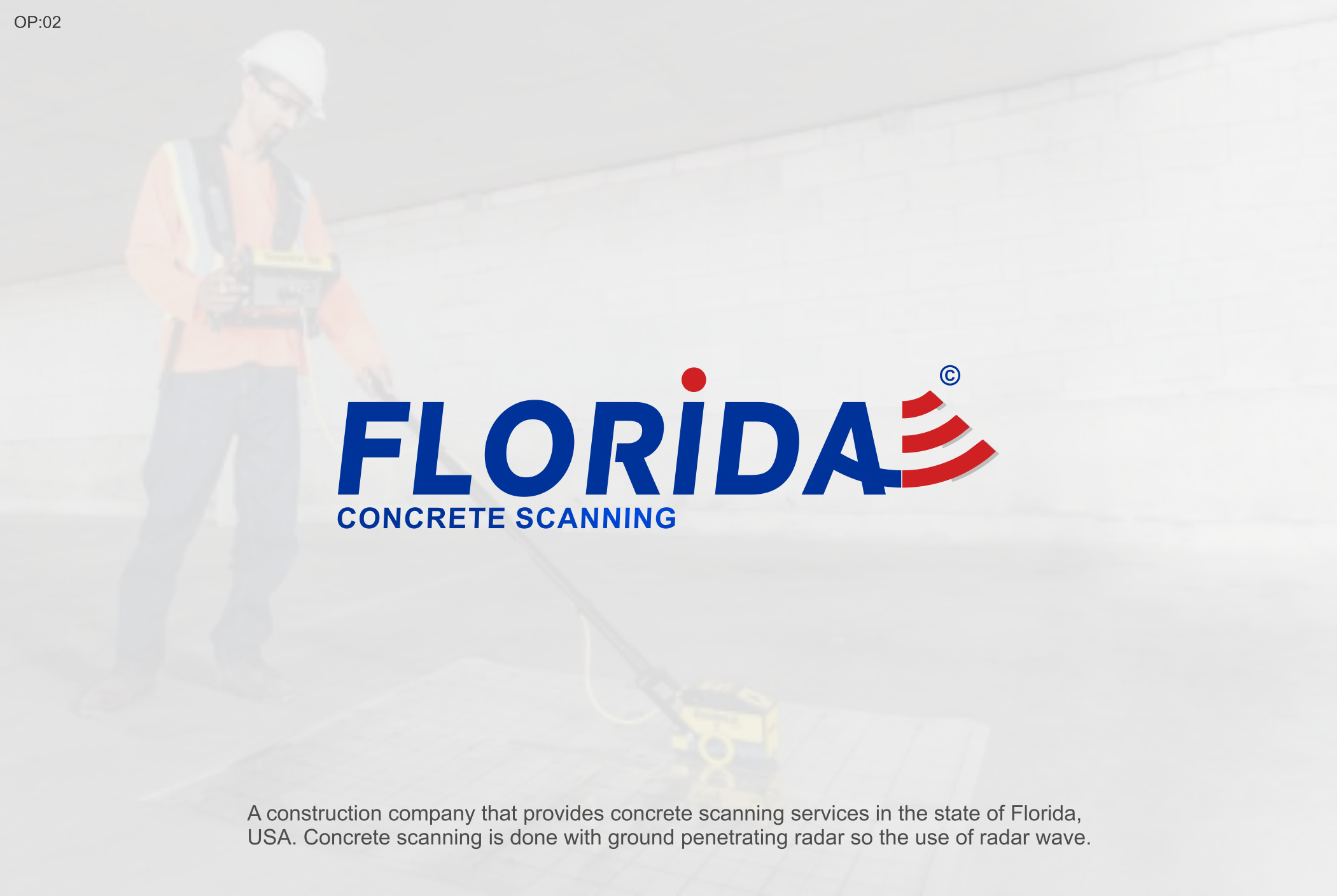 Logo Design by NSP Design for this project | Design #23970048