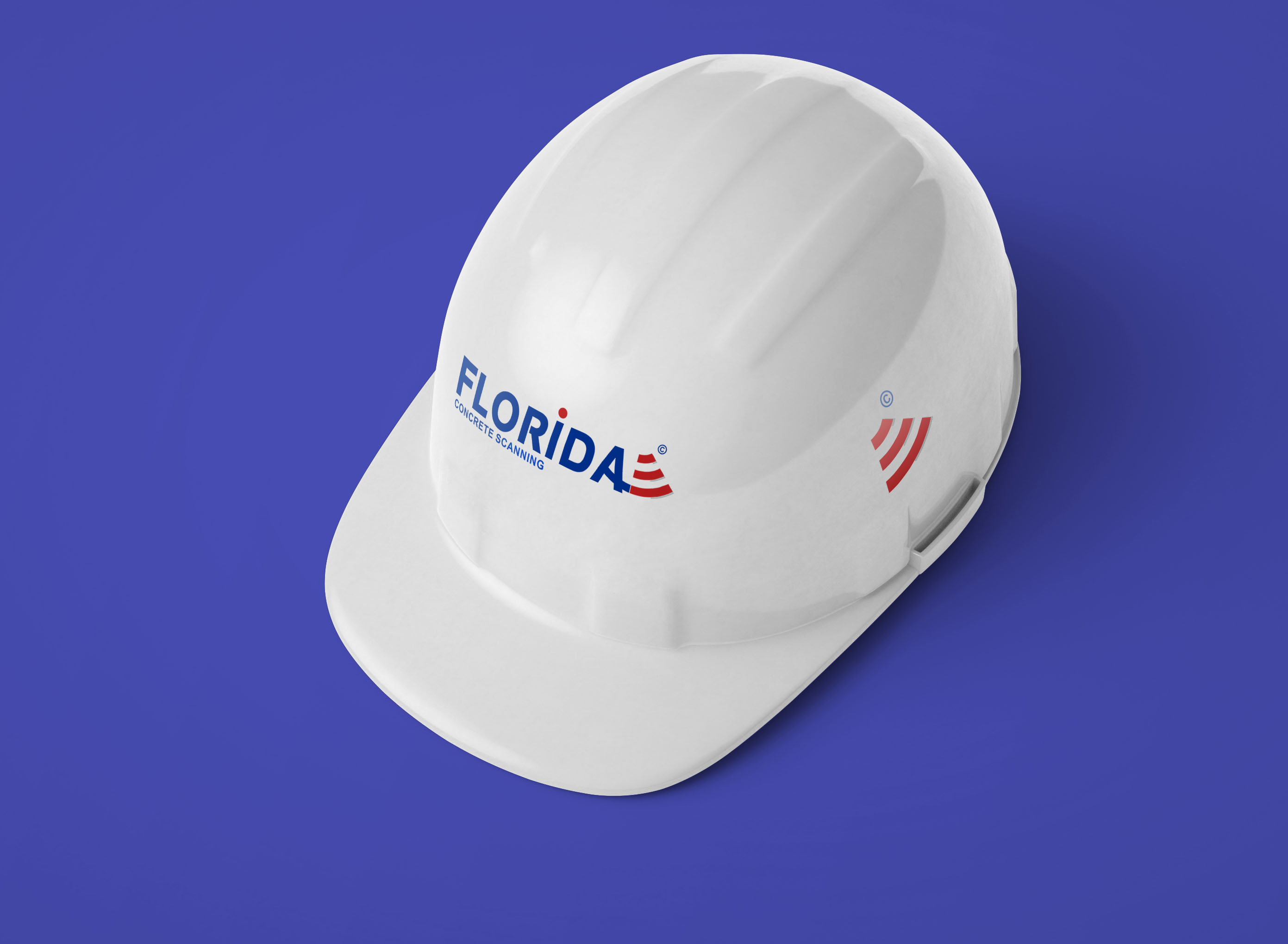 Logo Design by NSP Design for this project | Design #23970498