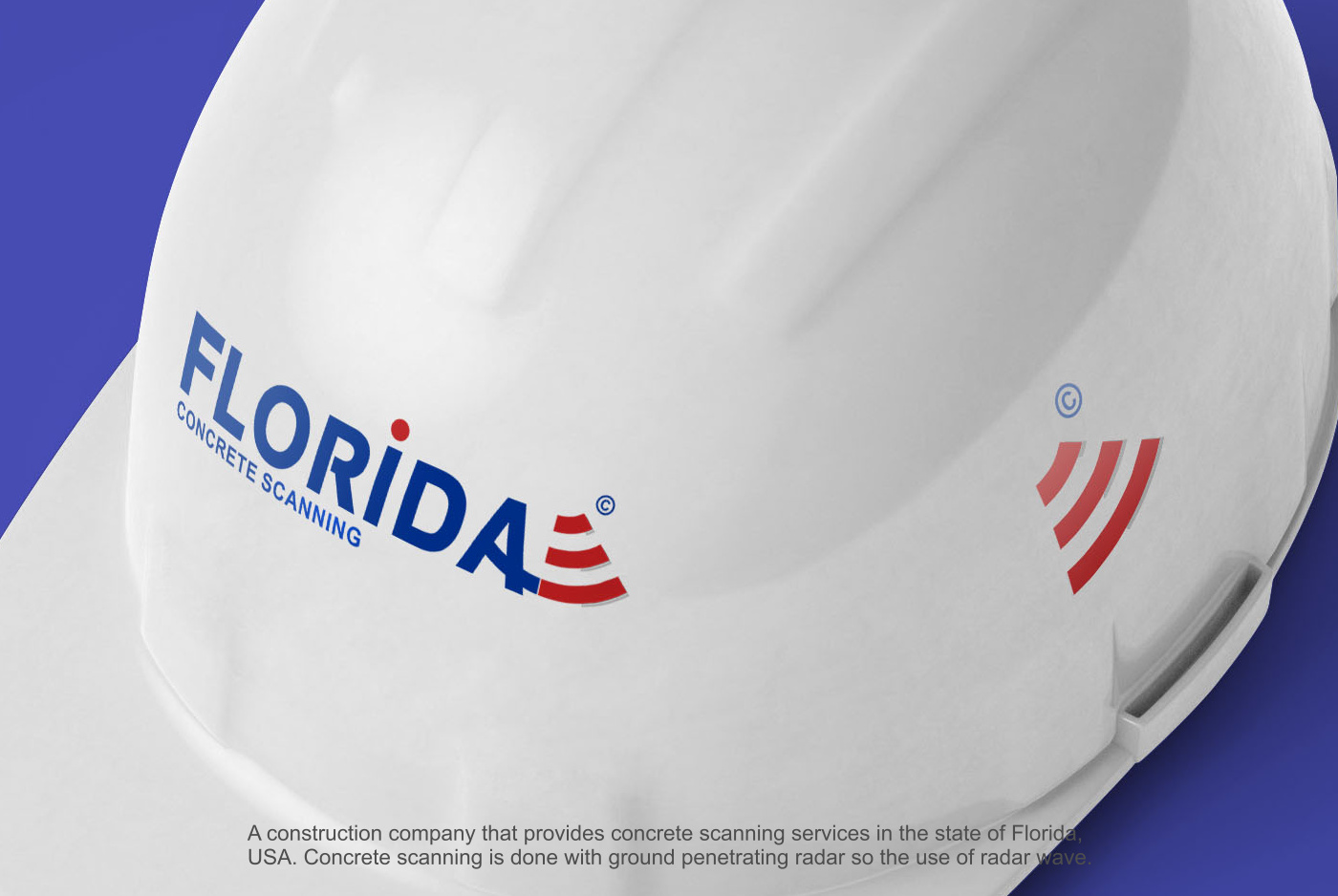 Logo Design by NSP Design for this project | Design #23970530